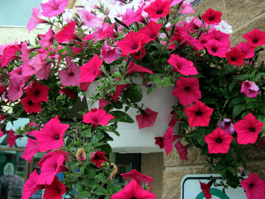 1070968 (a): :2560x1920